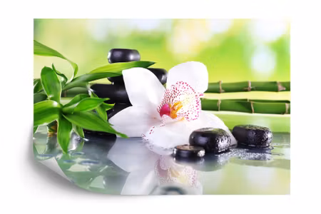 Fototapet - Beautiful orchid spa