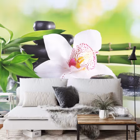 Fototapet - Beautiful orchid spa