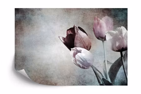 Fototapet - Vintage tulips