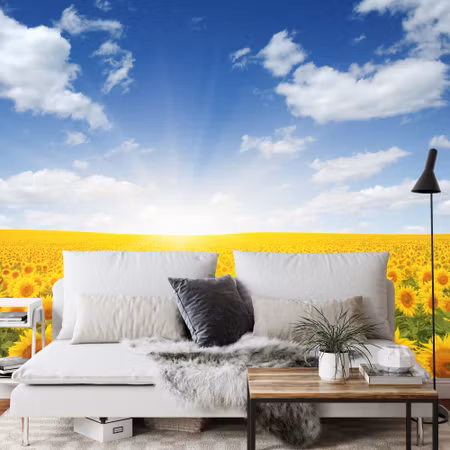 Fototapet - Field of blooming sunflowers