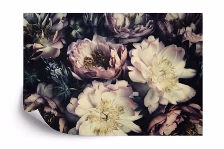 Fototapet - Colourful vintage peonies