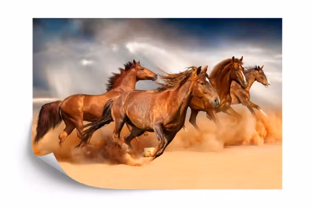 Fototapet - Horses running in the desert