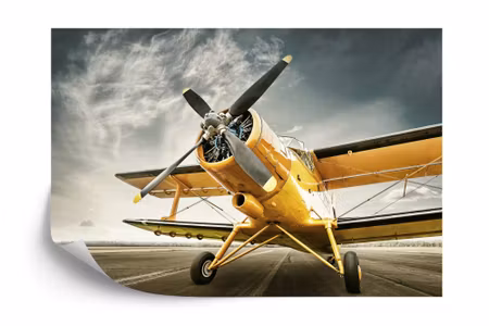 Fototapet - Antique airplane