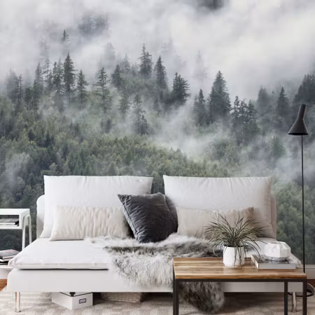 Fototapet - Forest in the morning mist