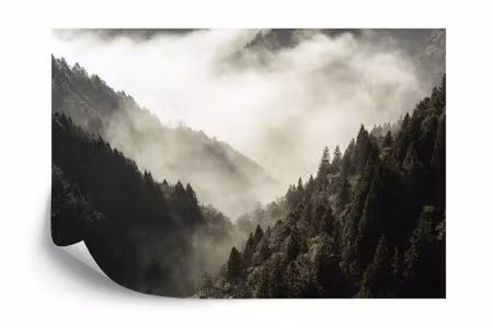 Fototapet - Forest in fog