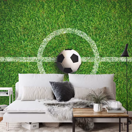 Fototapet - Ball in the center of the field