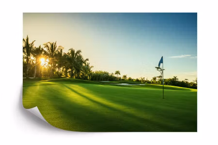 Fototapet - Golf course at sunrise