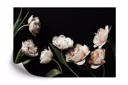 Fototapet - Peonies and green leaves