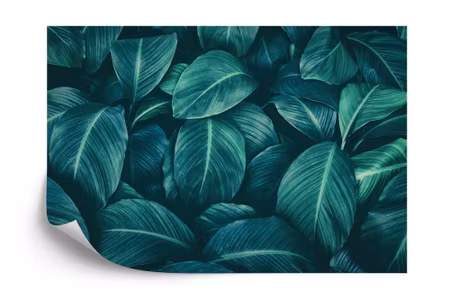 Fototapet - Dark tropical leaves