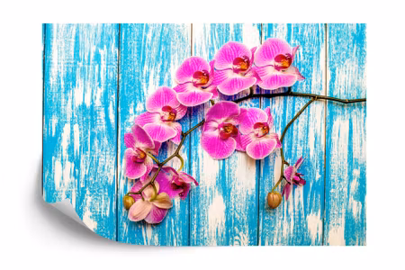 Fototapet - Orchids on a background of boards