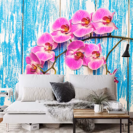 Fototapet - Orchids on a background of boards