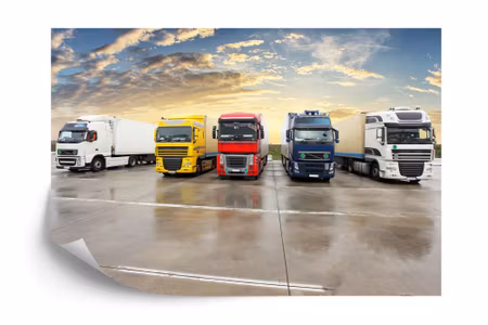 Fototapet - Colourful trucks in the car park