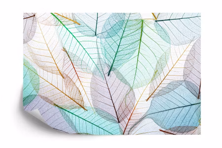 Fototapet - Colourful translucent leaves