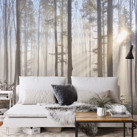 Fototapet - Forest in fog