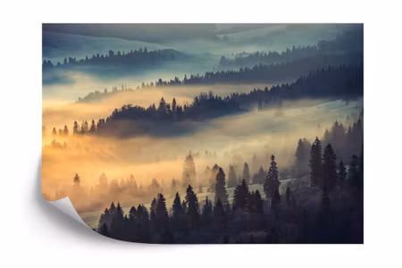 Fototapet - Forest in fog