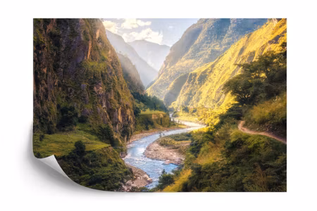 Fototapet - Forest mountains