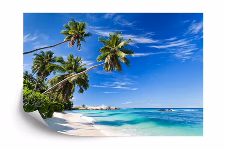Fototapet - Beach ocean palm trees