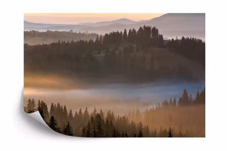 Fototapet - Forest in fog