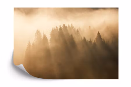 Fototapet - Forest in fog