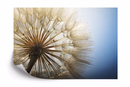 Fototapet - Dandelion 3D