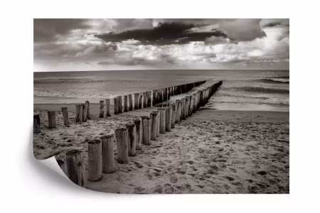 Fototapet - Beach sand