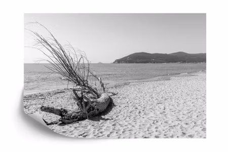 Fototapet - Beach sand
