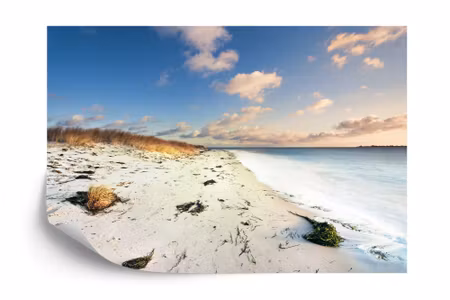 Fototapet - Beach sea dunes