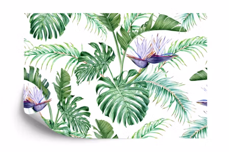Fototapet - Monstera leaves