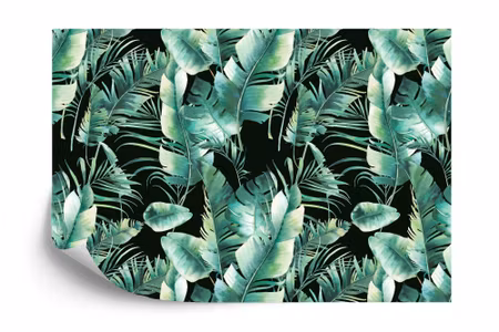 Fototapet - Tropical leaves