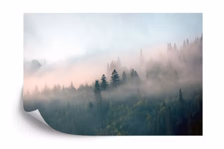 Fototapet - Forest in fog