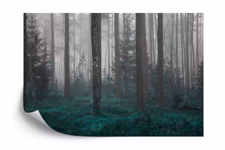 Fototapet - Forest in fog