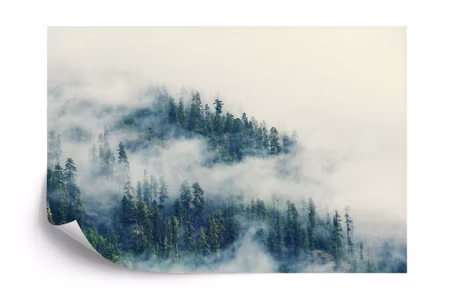 Fototapet - Forest in fog