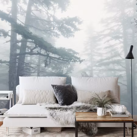 Fototapet - Forest in fog
