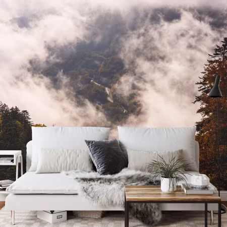 Fototapet - Forest in fog