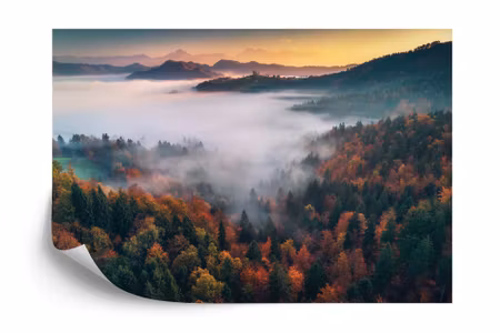 Fototapet - Forest in fog