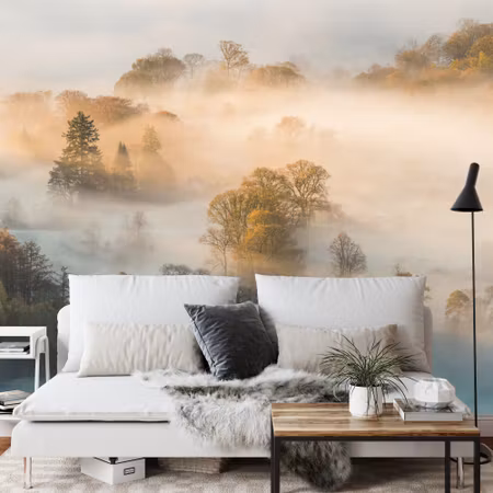 Fototapet - Forest in fog