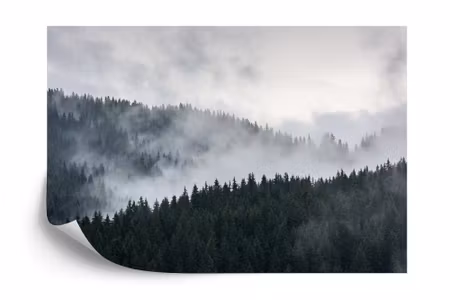 Fototapet - Forest in fog