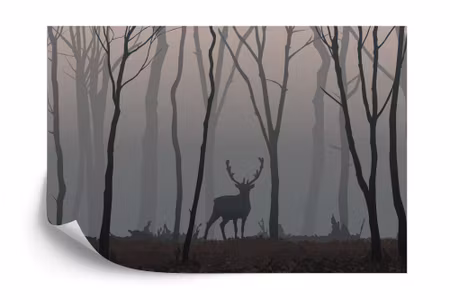 Fototapet - Deer in the forest