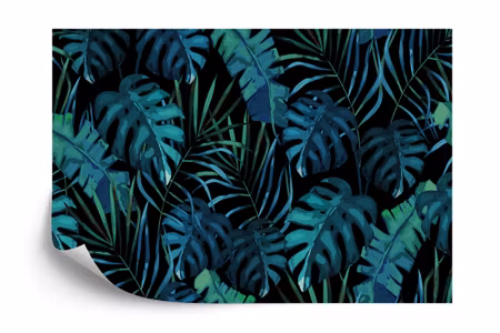 Fototapet - Monsteraa leaves