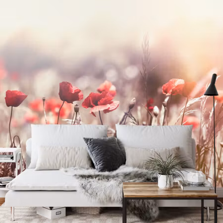 Fototapet - Poppies flowers