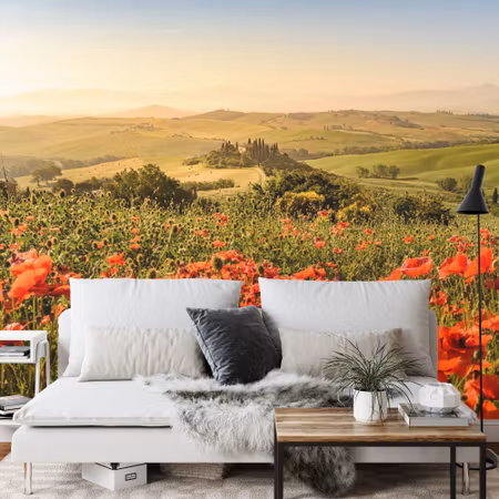 Fototapet - Poppy field