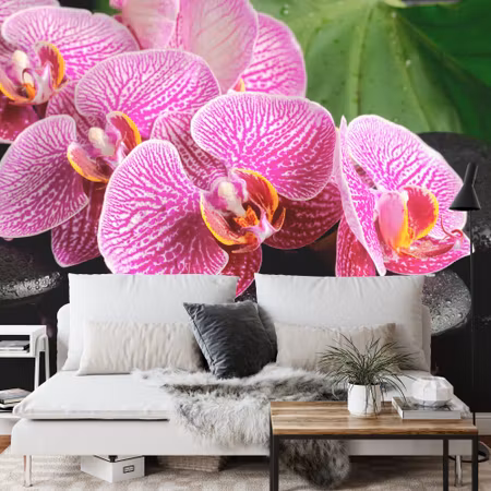 Fototapet - Orchid spa