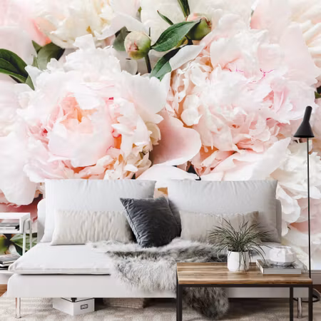 Fototapet - Colourful peonies