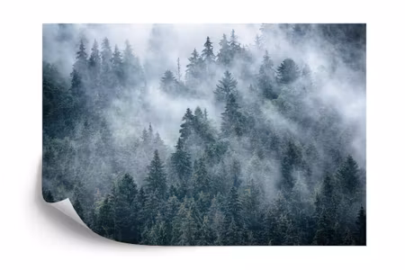 Fototapet - Misty forest in the mountains