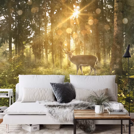 Fototapet - Deer in the forest in the morning