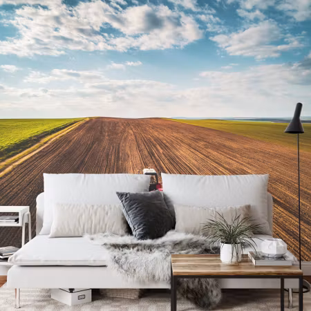 Fototapet - Aerial view of a tractor in a field