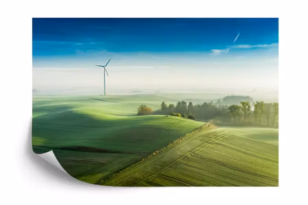 Fototapet - Aerial view of a green meadow 3D