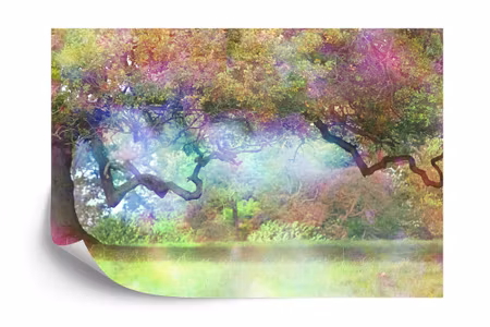 Fototapet - Magic colorful forest