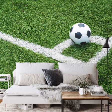 Fototapet - Ball in the corner