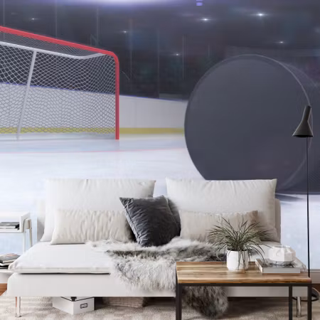 Fototapet - Hockey pucks